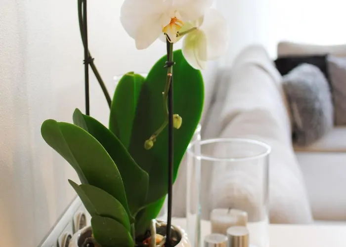 13th Floor Cityview Luxury